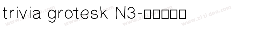 trivia grotesk N3字体转换